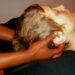 Image of balance sports massage therapist giving a head massage